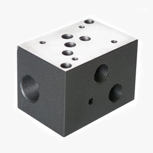 Manifold Block