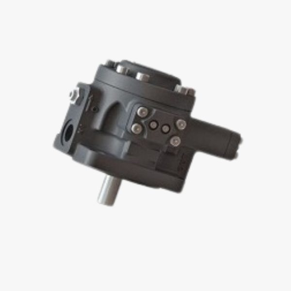 PVV20 Variable Vane-Pump